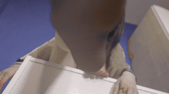 TZ305 (1).gif