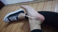 ZXS025۽[49P]