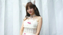 [ƽVIPר]CY-1324崿ģţʢ磡һοˬ