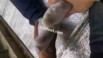 C234ͷСŮѣѵЬӣ