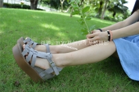 FC027ģò[223P]
