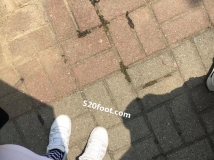 ¥С촩Ь࣬ϻѵģȺ