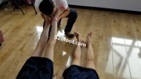 TZ364Ʒõĸ߸ţ˫һŹ