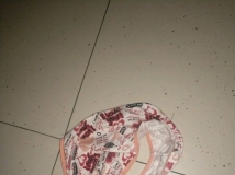 ѧУŮϴ·